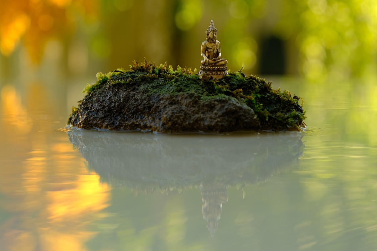 Metaphysical Thoughts on Life Beyond Earth